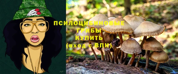 соль курить ск Алексин